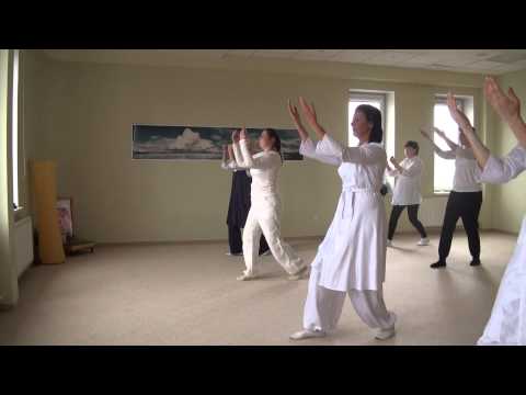 Видео: ДВИЖЕНИЯ ГУРДЖИЕВА,Александр Бельцер (Тушир)--23 марта 2014-. 00211