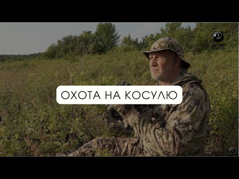 Видео: Охота на косулю // В одиночку на зверя