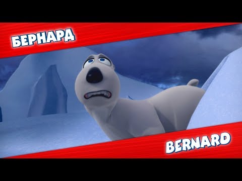 Видео: БЕРНАРД: Шторм и многое другое | Подборка серий
