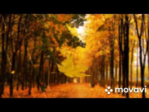 Видео: Листопад (Михайло Хома)