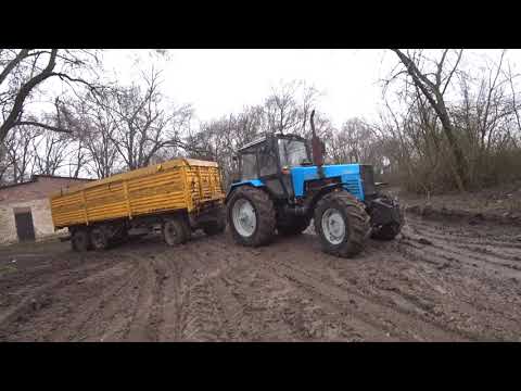 Видео: Помогаем камазисту. Трактор МТЗ вытаскивает груженый под завязку сои прицеп Камаза