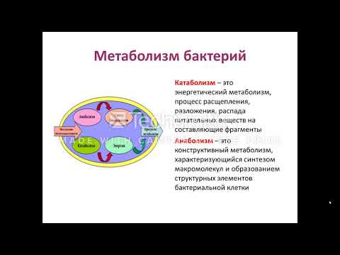 Видео: №4 видеолекция.  Физиология микроорганизмов