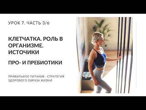 Видео: Клетчатка. роль в организме. Источники. Про- и пребиотики. Избыток клетчатки. Урок 7. Часть 3/6