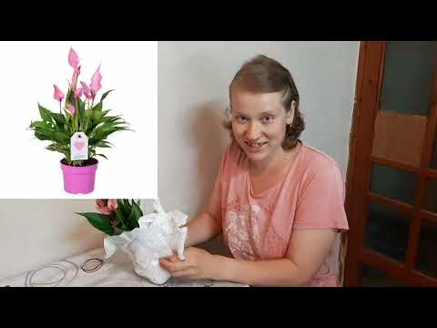 Видео: Распаковка. Посылка с Череповца. Без потерь не обошлось.