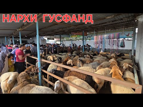 Видео: 23 августа 2025 г.НАРХИ ГУСФАНД ДАР  МОЛБОЗОРИ ХИСТЕВАРЗ 