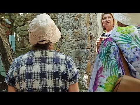 Видео: Экскурсия на дачу Суворина