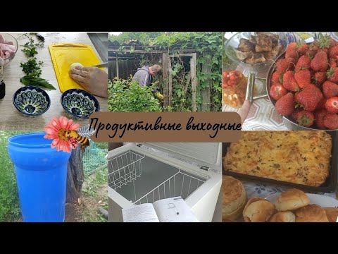 Видео: Купили морозильный ларь // Бочка для воды // Разбор старых построек // Урожай клубники радует