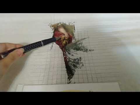 Видео: Чаепитие от ЭСТЭ, скромные продвижения