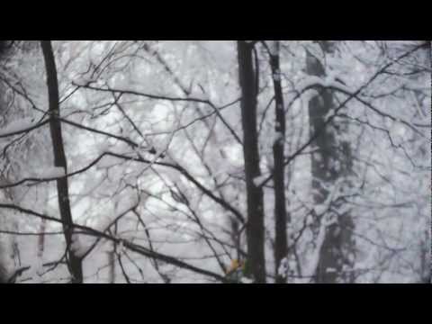 Видео: Малый Кристалл - Пустые Города (При уч.Саграда)