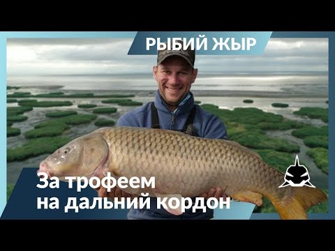 Видео: За трофеем на "Дальний кордон".   На что клюет трофей... Жмых, ракушка или бойл? Рыбий жЫр 6 сезон.