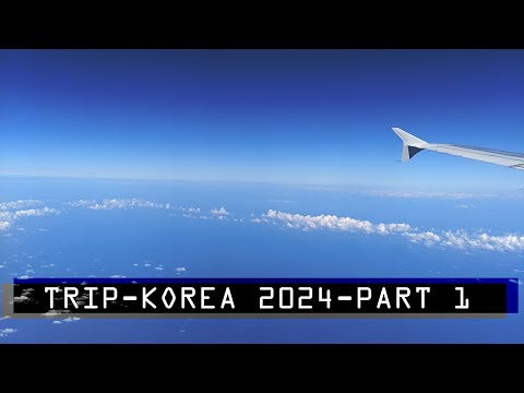 Видео: ВЛОГ: Корея 2024 - Часть 1 - Полет