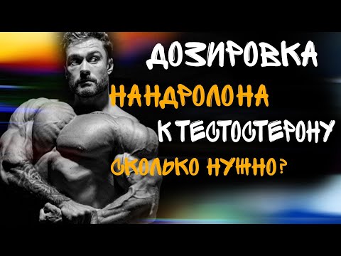 Видео: ДОЗИРОВКА НАНДРОЛОНА К ТЕСТОСТЕРОНУ - СКОЛЬКО НУЖНО