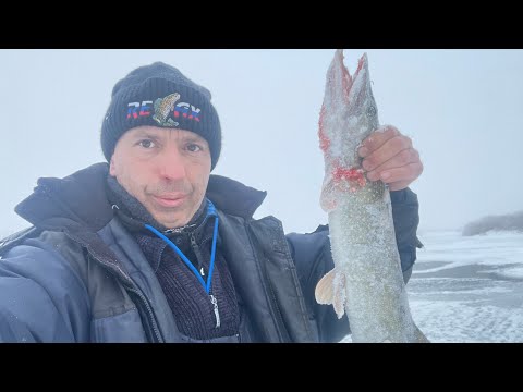 Видео: Открытие по первому льду ! Зимняя рыбалка с комфортом !