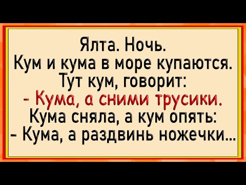 Видео: Как кум куму в море того! Сборник свежих анекдотов! Юмор!