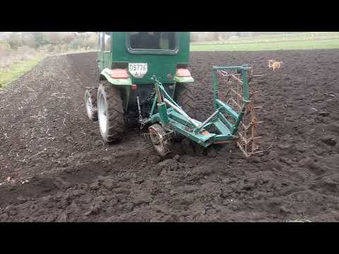 Видео: Оранка