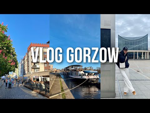 Видео: EUROPE VLOG #2 : Польша 🇵🇱 Гожув Велькопольски | обзор цен