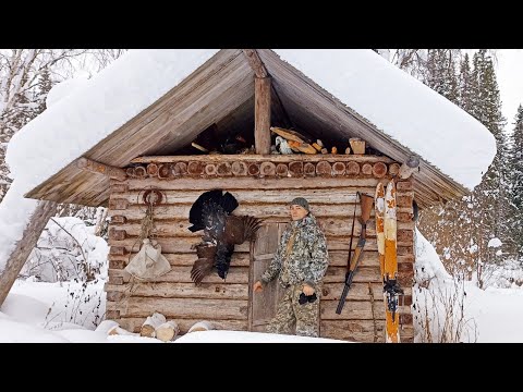 Видео: ОХОТА НА ГЛУХАРЯ С ДРОБОВЫМ РУЖЬЁМ / ЗАБИРАЮ ПЕЧКУ ИЗ ИЗБУШКИ НА РЕМОНТ / ОДИН ДЕНЬ В ТАЙГЕ ЗИМОЙ.