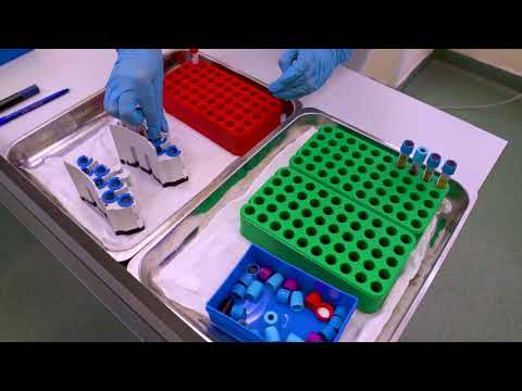 Видео: Клинико-диагностическая лаборатория