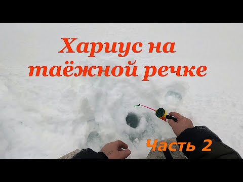Видео: ХАРИУС  НА ТАЁЖНОЙ РЕЧКЕ \ Часть 2 \ Душевный вечер в лесной избе