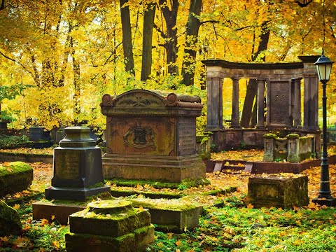 Видео: СМОЛЕНСКОЕ ЛЮТЕРАНСКОЕ КЛАДБИЩЕ. Часть 1. ПРОГУЛКА. Всё это - ПИТЕР!