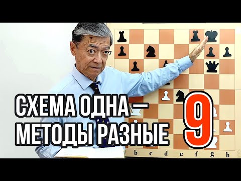 Видео: 9) Чёрные дерутся до талого