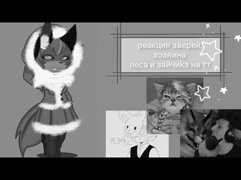 Видео: 💌реакция зверей на тт💌 (смотреть на скорости 2х)