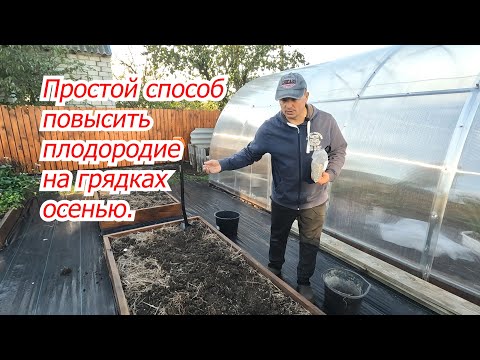 Видео: Как повысить плодородие почвы на огороде осенью. Проверенный способ!