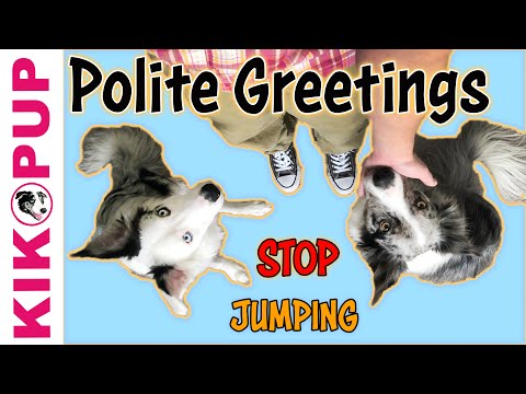 Видео: Вежливые приветствия - СТОП Прыжки