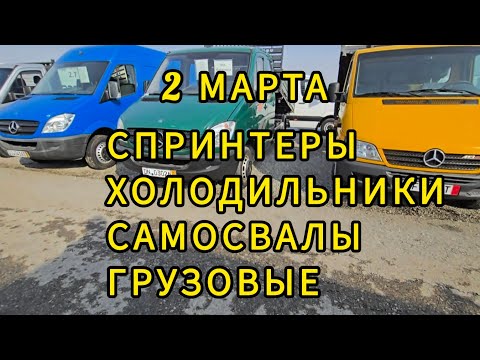 Видео: Авторынок Бишкека на 2 марта. Спринтеры.