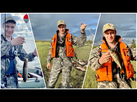 Видео: КЛЕВ В ЗАБРОС. РЫБАЛКА НА САМУЮ ЛЮБИМУЮ НАЖИВКУ СЕВЕРНОГО ОКУНЯ. РЫБАЛКА 2021.