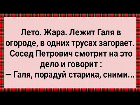 Видео: Как Галя в Огороде Петровича Соблазнила! Сборник Свежих Анекдотов! Юмор!