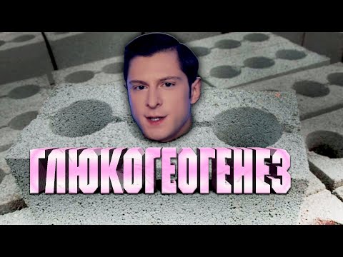 Видео: Реакция Апокрифа на обзор Андрея Блока про Шреддера. Питание!