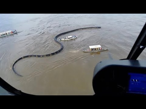 Видео: Я Бы И Сам Не Поверил, Но Это Видео Удалось Снять На Камеру