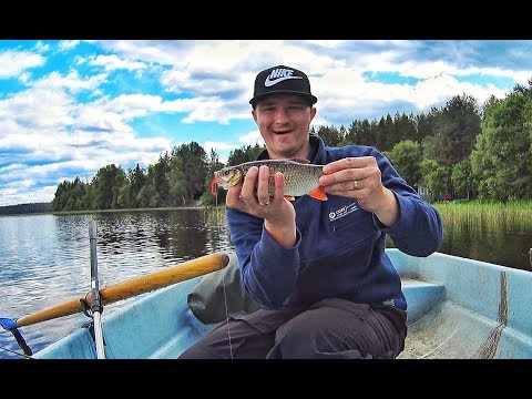 Видео: Рыбалка на озере СЕЛИГЕР! Часть Вторая! МОРМЫШИНГ, ловля окуня, язя - С Рыбалкой на Ты!выпуск№45.