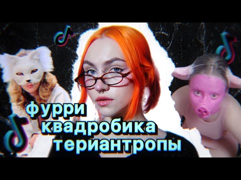 Видео: почему люди хотят стать животными и чем опасна квадробика
