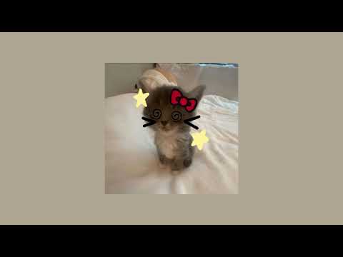 Видео: speed up плейлист с рандомными песнями популярными в тиктоке!!