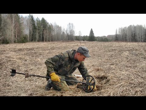 Видео: Поисковый сборник №7 #365