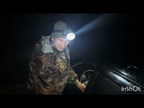 Видео: Рыбалка на мертвом Донце,выручил червь #рыбалканафидер #макушатник #карпфишинг