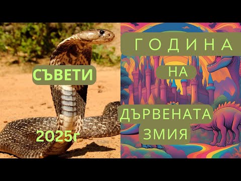 Видео: СЪВЕТИ ЗА ГОДИНАТА НА ДЪРВЕНАТА ЗМИЯ - 2025