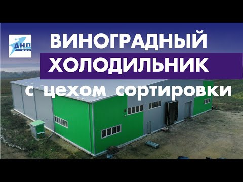 Видео: Виноградный холодильник с цехом сортировки
