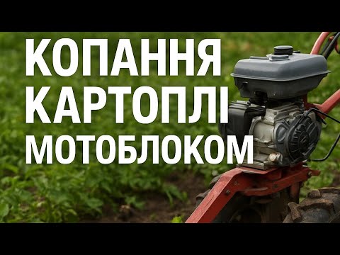 Видео: «Мотоблок на максимумі: рекордний урожай картоплі»