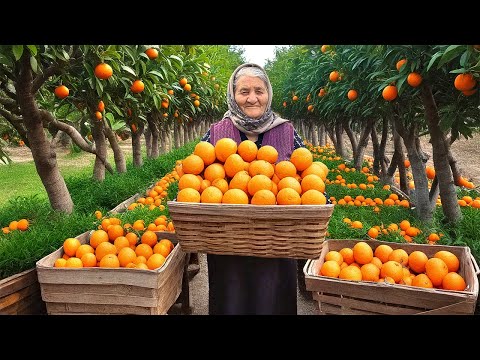 Видео: В этой Деревне Выращивают Тонны Мандаринов! Делаем Органическое Мандариновое Варенье и Пирог!