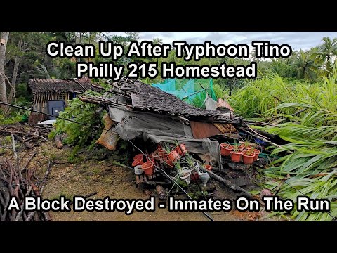 Видео: УБОРКА ПОСЛЕ ТАЙФУНА ТИНО НА ДОМОВОЙ УСАДКЕ PHILLY 215 НА ОСТРОВЕ СЬЯРГАО #tino