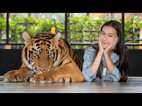 Видео: Биологические программы, эмоции и проверка "на тигра"