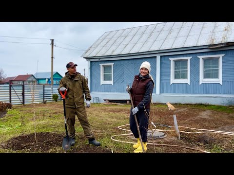 Видео: ПОСАДИЛИ САД ПОД ОКНОМ/РАЗОБРАЛИ В ДОМЕ ПОЛЫ/ ЗАКВАСИЛИ КАПУСТУ