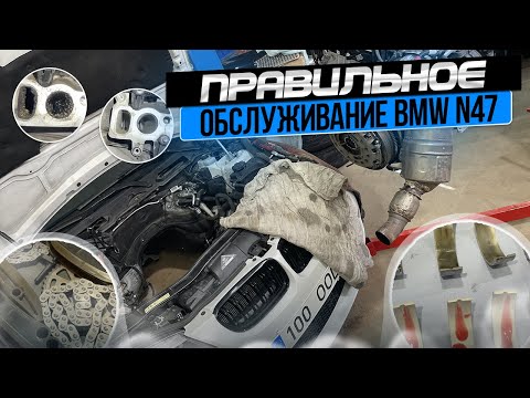 Видео: Как не попасть на мотор N47? Вкладыши, Чистка орехом, Цепи.