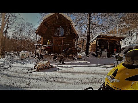 Видео: Был один круглый год в тайге, но пришел сосед, и стало весело)))