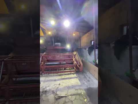 Видео: Продається комбайн Massey Ferguson 520 — Ідеальний стан, готовий до сезону!