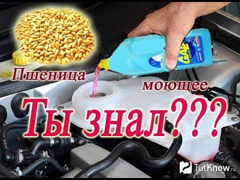 Видео: КАК ОТМЫТЬ БАЧОК ОЖ?