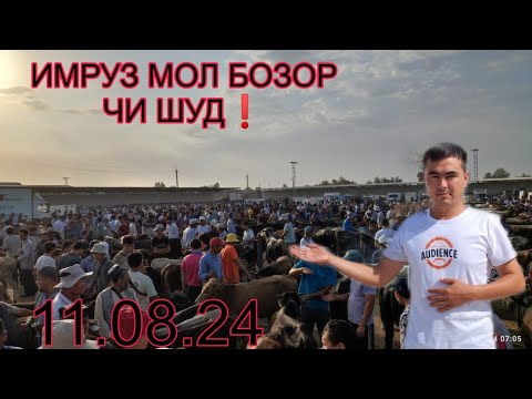 Видео: НОХИЯИ ДУСТИ МОЛБОЗОРИ ЭШБЕК САТТАРОВ 11.08.2024.г